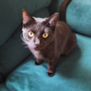 Meet your Posher, Kenneth